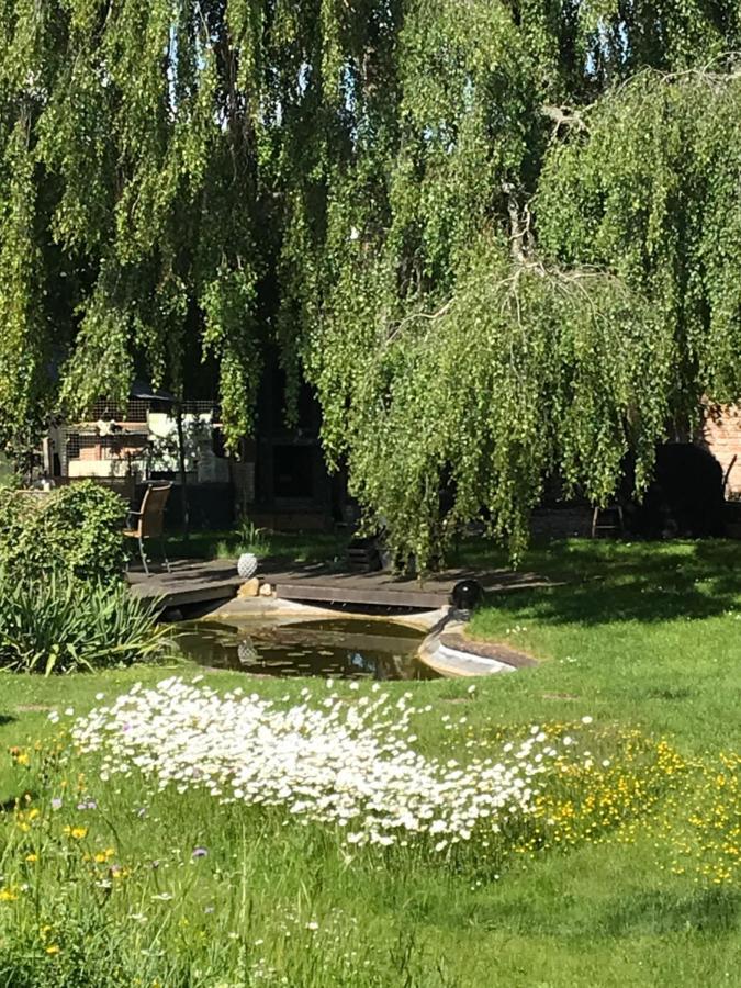 Apartament Donautaler Wohlfuehloase Gundelfingen an der Donau Zewnętrze zdjęcie